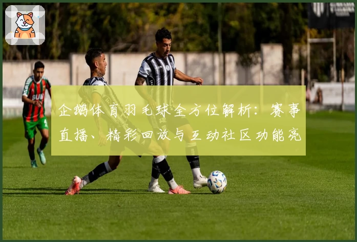 企鹅体育羽毛球全方位解析：赛事直播、精彩回放与互动社区功能亮点详解