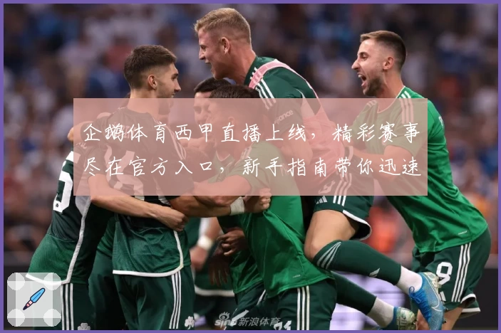 企鹅体育西甲直播上线，精彩赛事尽在官方入口，新手指南带你迅速上手