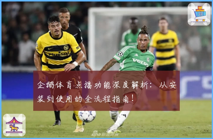 企鹅体育点播功能深度解析：从安装到使用的全流程指南！