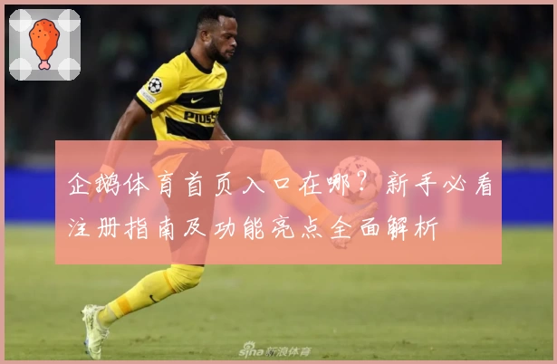 企鹅体育首页入口在哪?新手必看注册指南及功能亮点全面解析