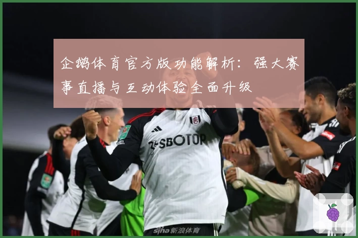 企鹅体育官方版功能解析：强大赛事直播与互动体验全面升级